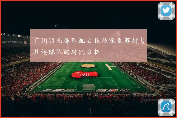 广州羽毛球队配合技巧深度解析与其他球队的对比分析